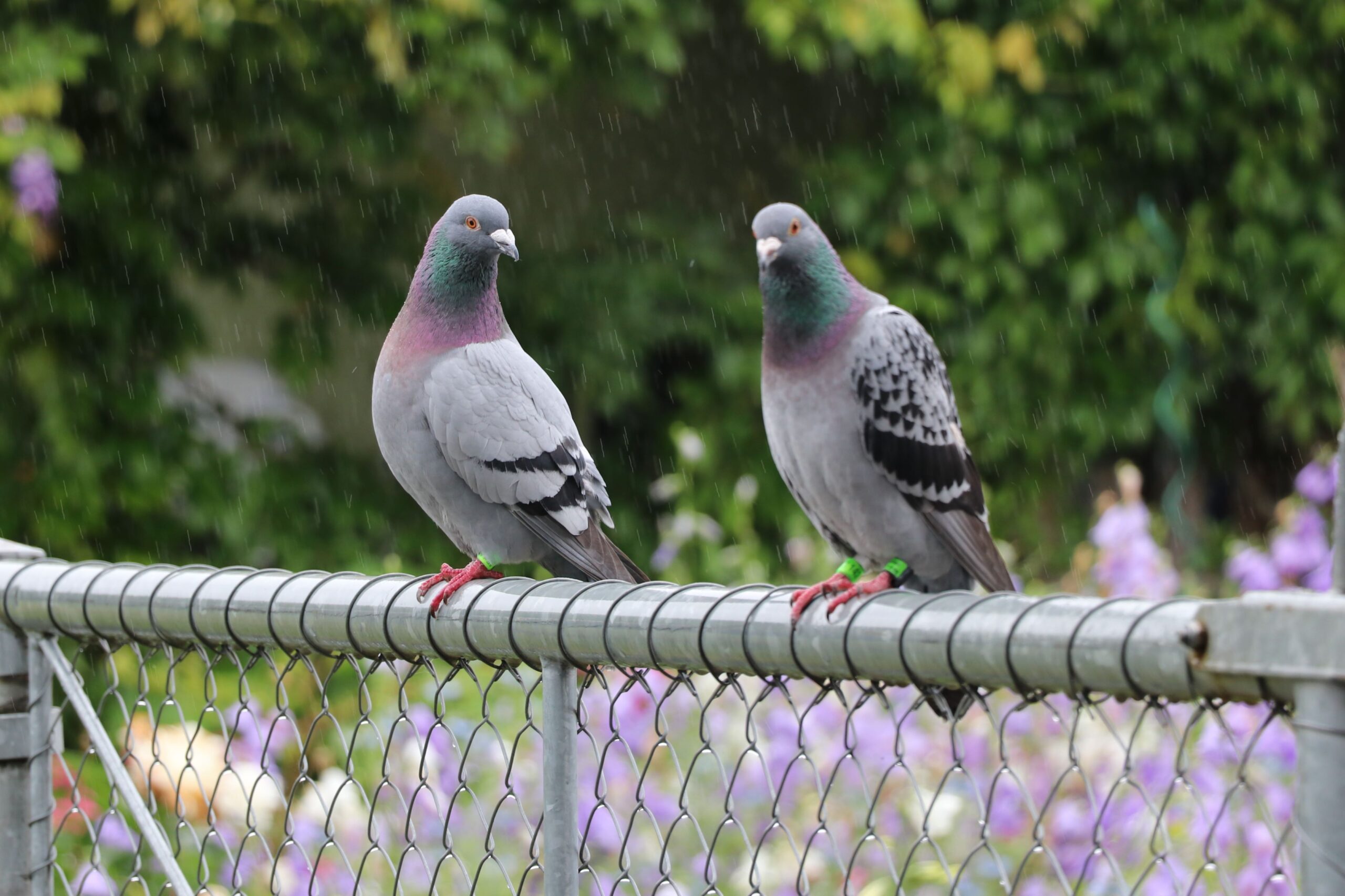 Madame und Monsieur sind ausgestiegen