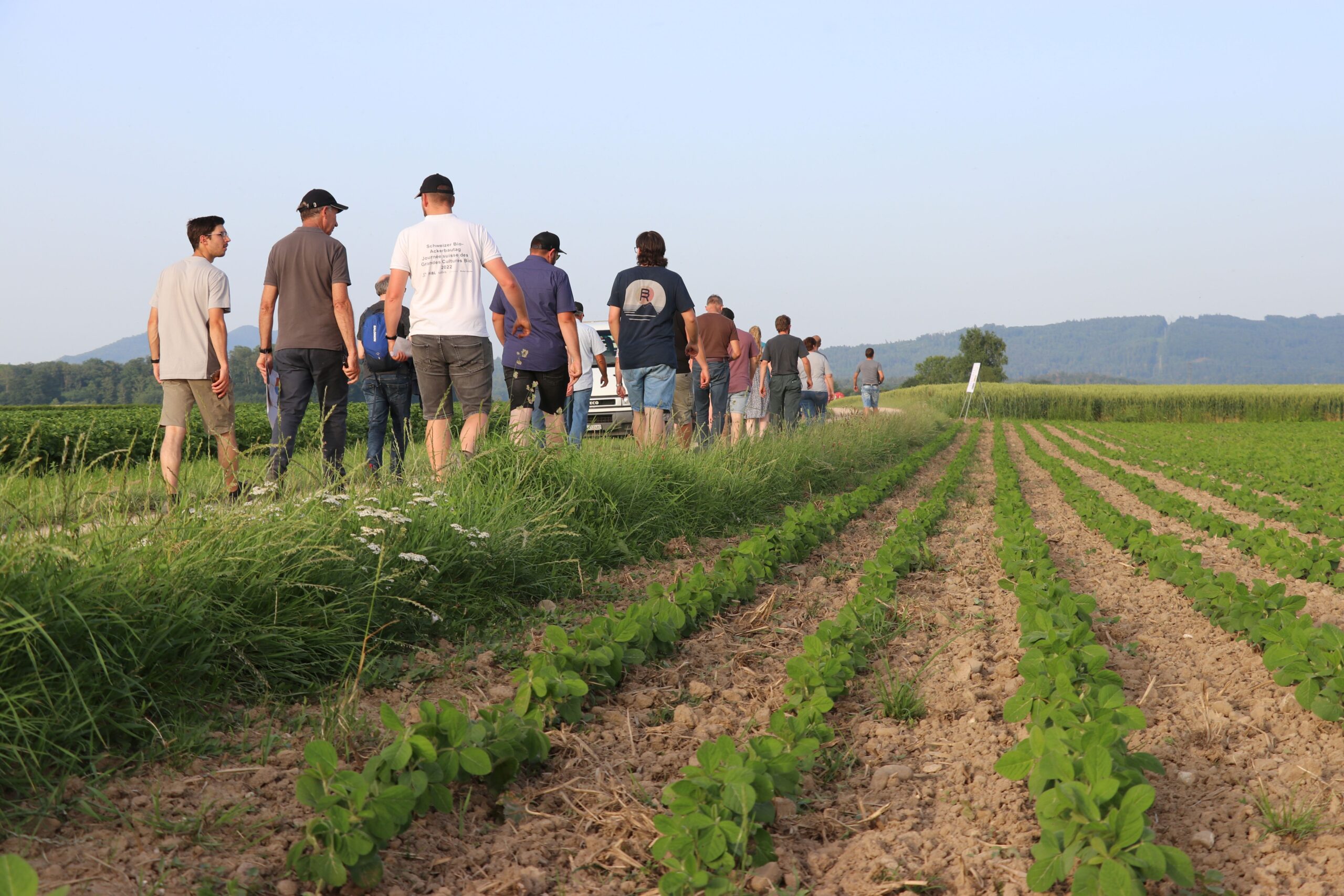 Flurgang auf dem Windrosenhof