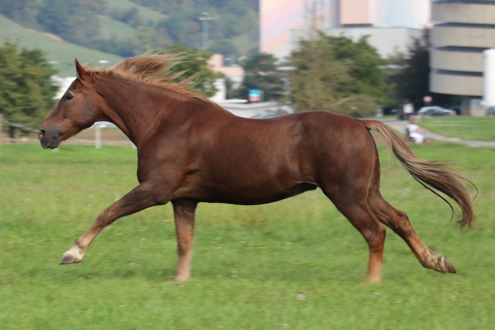 Für Florian – von Natalie