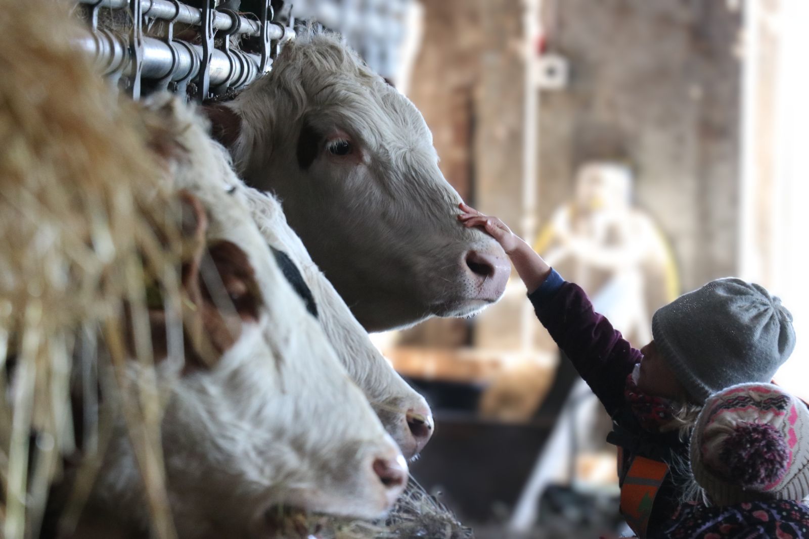 Begegnungen auf dem Bauernhof